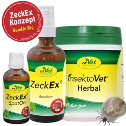 Sonderartikel Bundle ZeckEx-Konzept Big