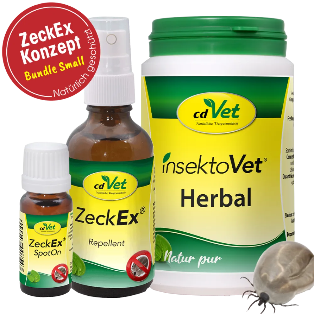 Sonderartikel Bundle ZeckEx-Konzept Small