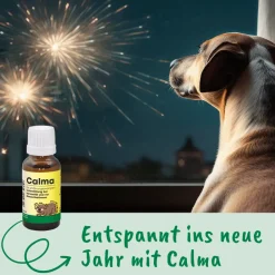 cdVet Calma 20 ml