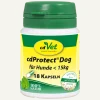 cdVet cdProtect Dog