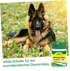 cdVet cdProtect Dog