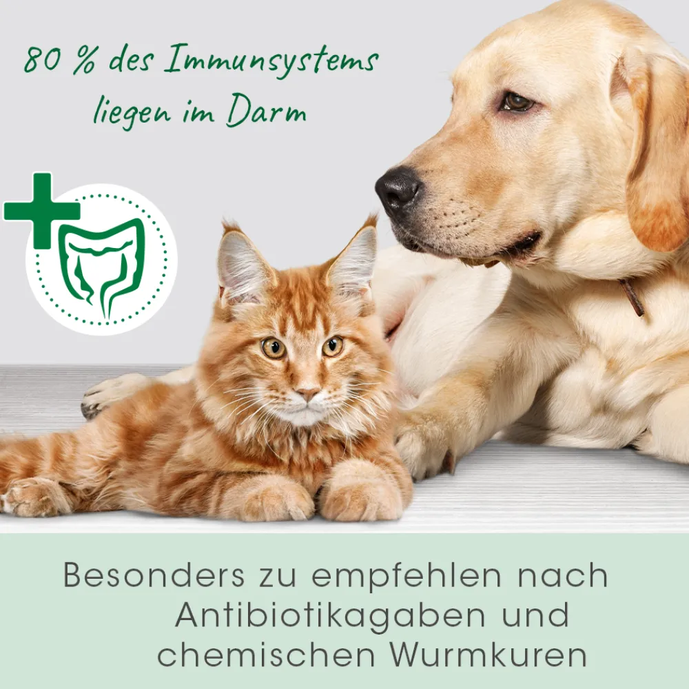 cdVet DarmAktiv plus 100 ml