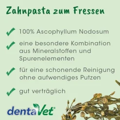 dentaVet Anti-Plaque 50 g