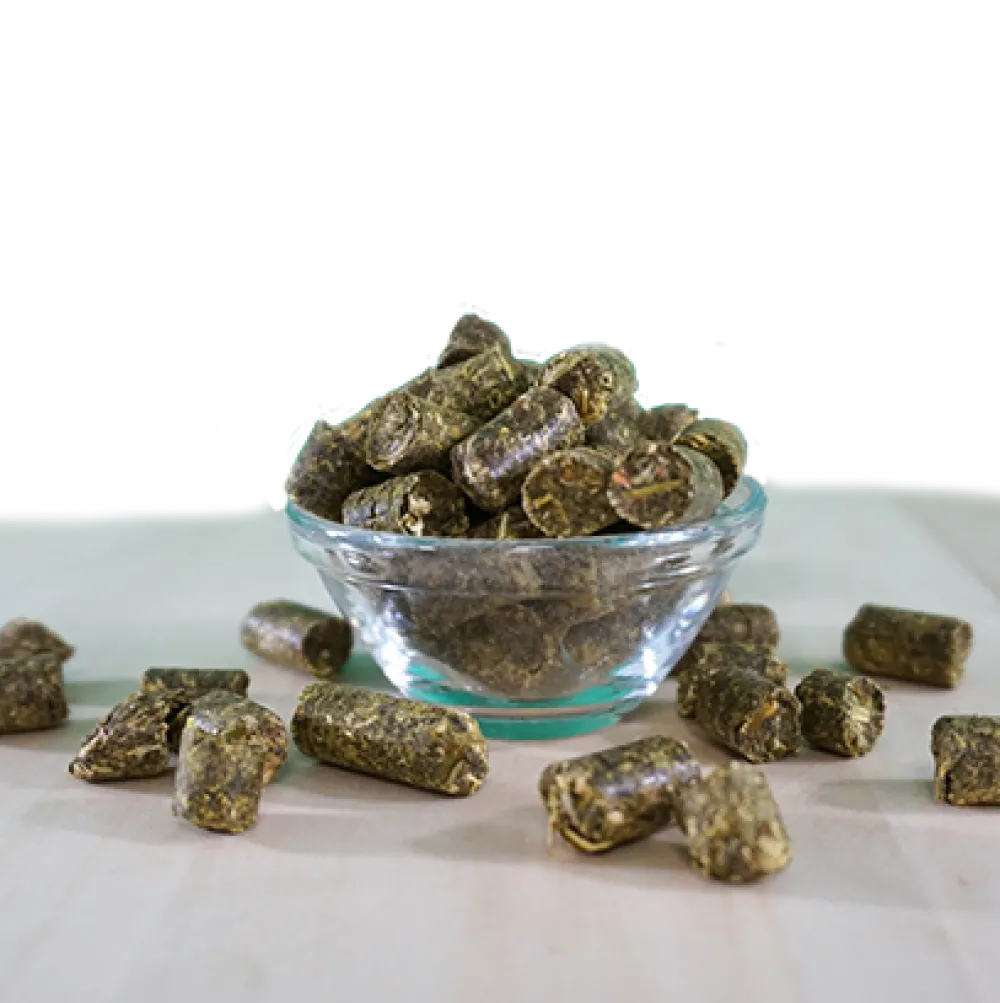 EquiGreen Bio-KräuterGrün Leckerlis 20 kg