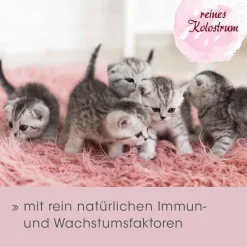 feliTATZ ImmunKraft 30 g
