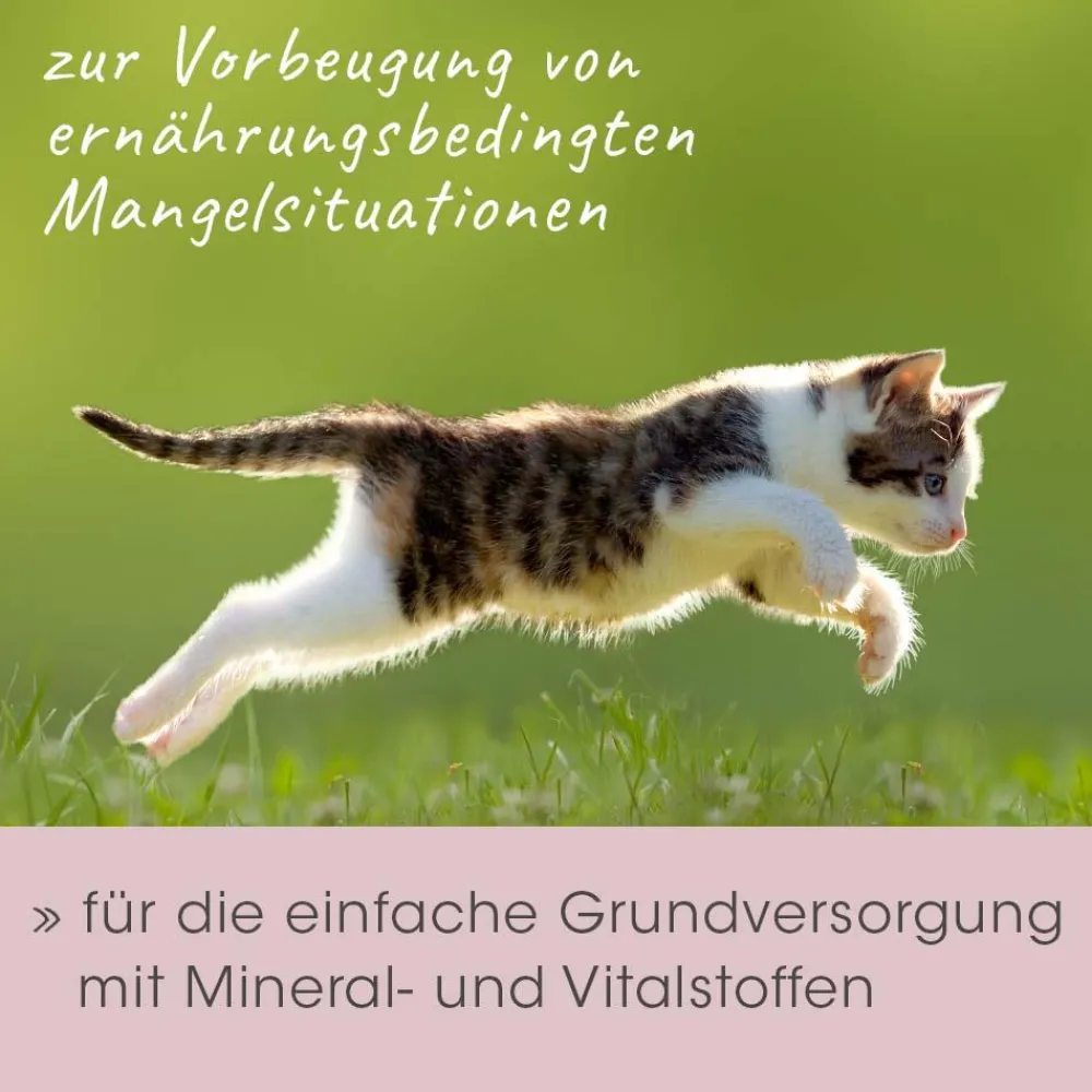 feliTATZ MineralKraft 60 g