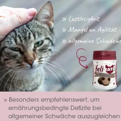 feliTATZ Senior 25 g