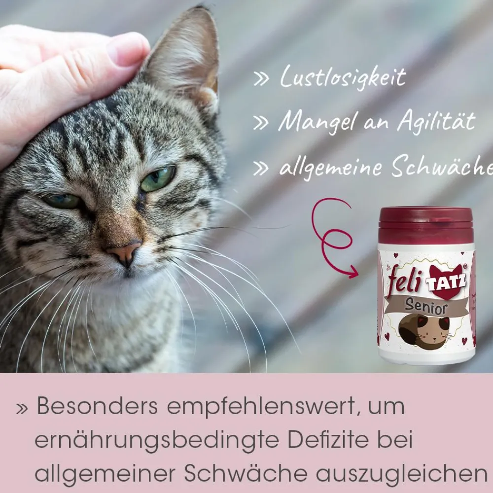 feliTATZ Senior 25 g