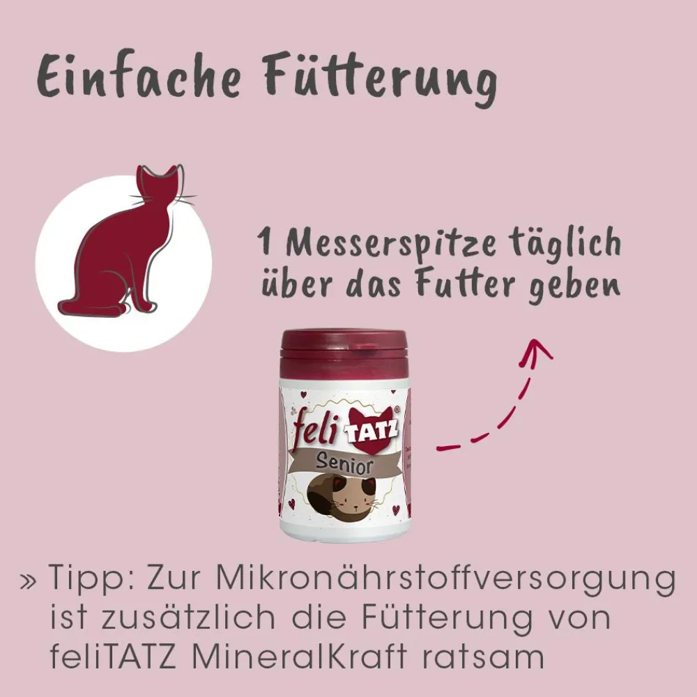 feliTATZ Senior 25 g