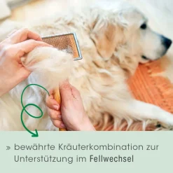 cdVet Fell & Haut Vital Hund & Katze 150 g