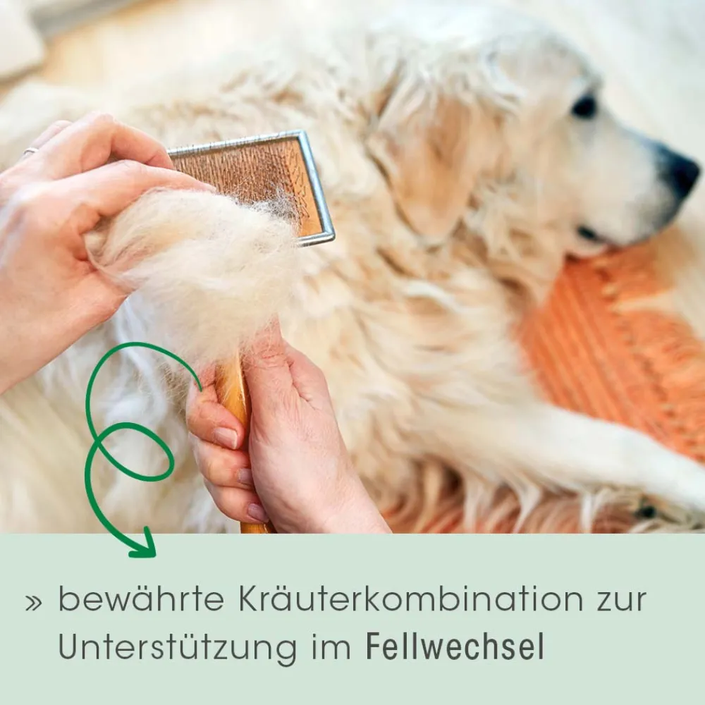 cdVet Fell & Haut Vital Hund & Katze 150 g