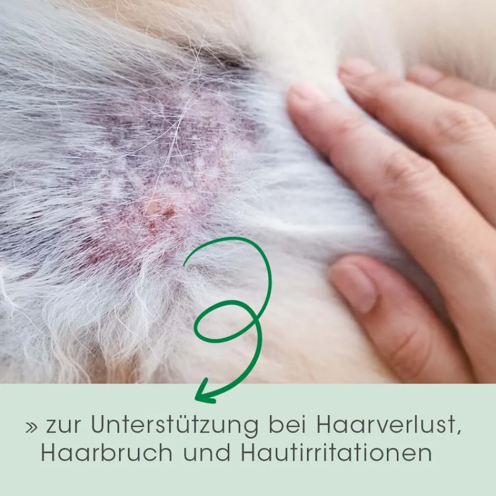 cdVet Fell & Haut Vital Hund & Katze 150 g