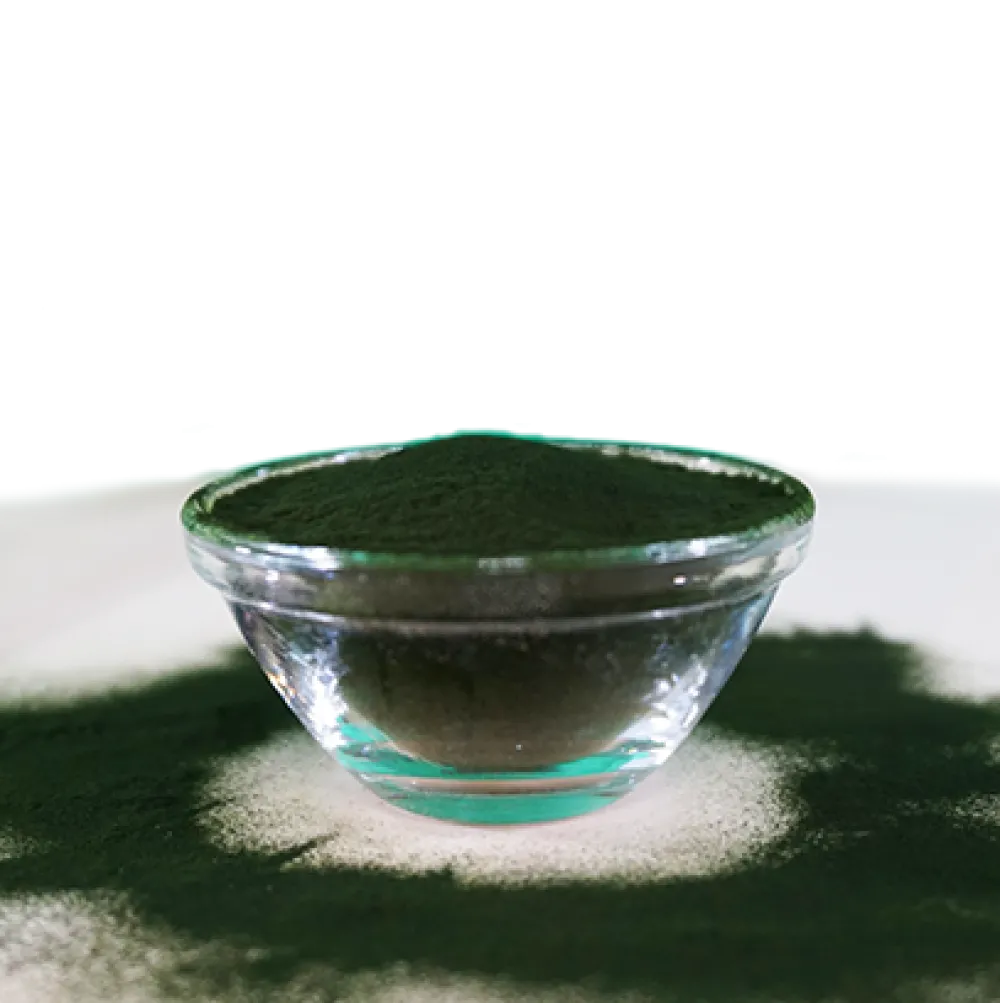 Fit-BARF Bio-Chlorella 36 g