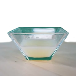 insektoVet Total 50 ml