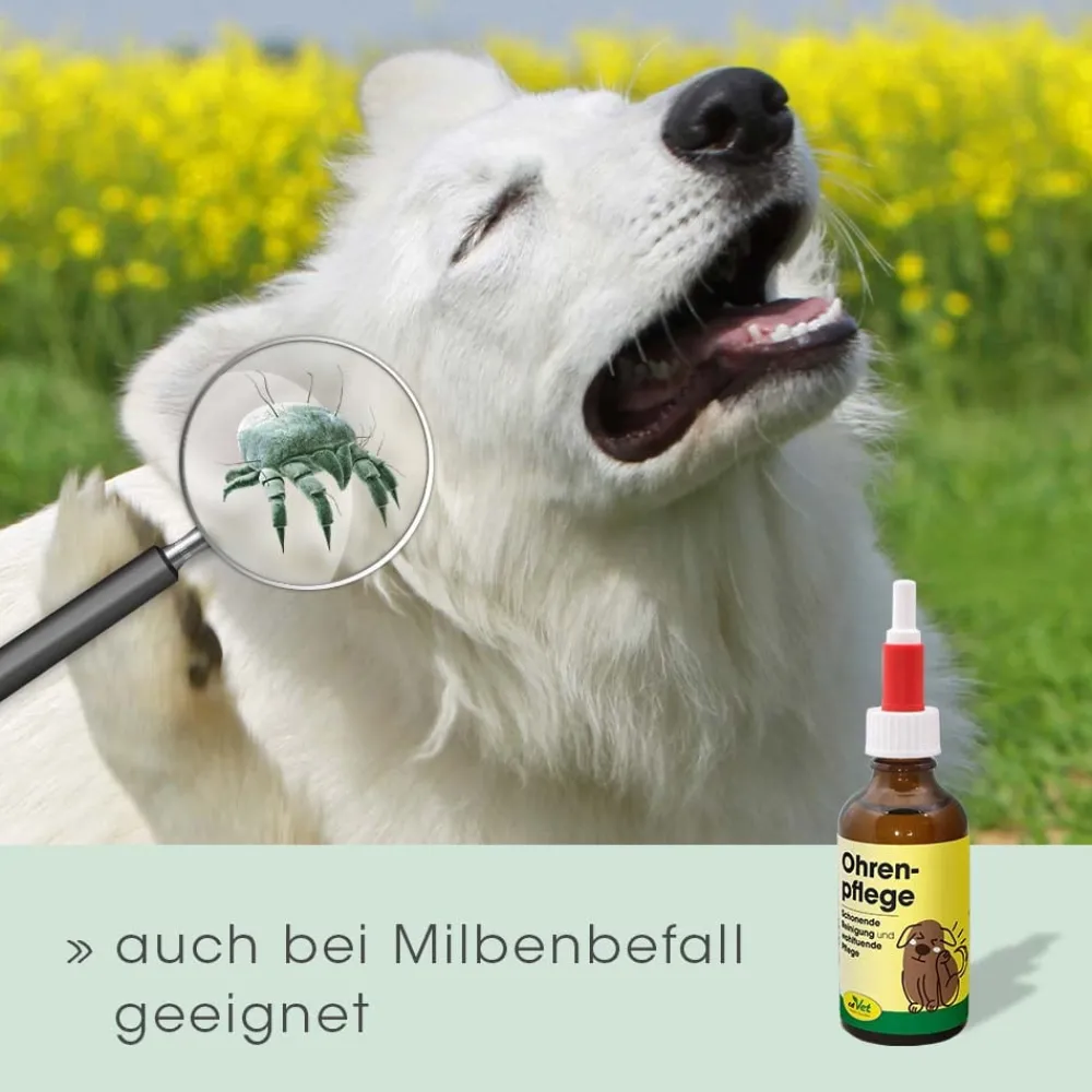cdVet Ohrenpflege 20ml