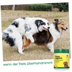 cdVet TriebRegulat 300 g