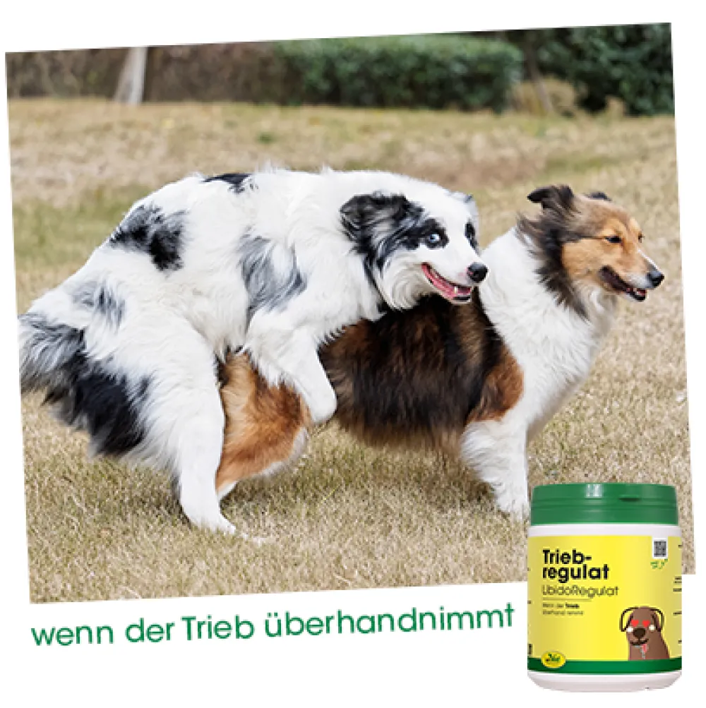 cdVet TriebRegulat 300 g