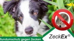 insektoVet ZeckEx 20 ml