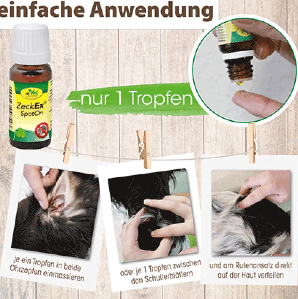 insektoVet ZeckEx SpotOn 10 ml