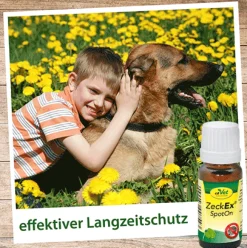 insektoVet ZeckEx SpotOn 10 ml